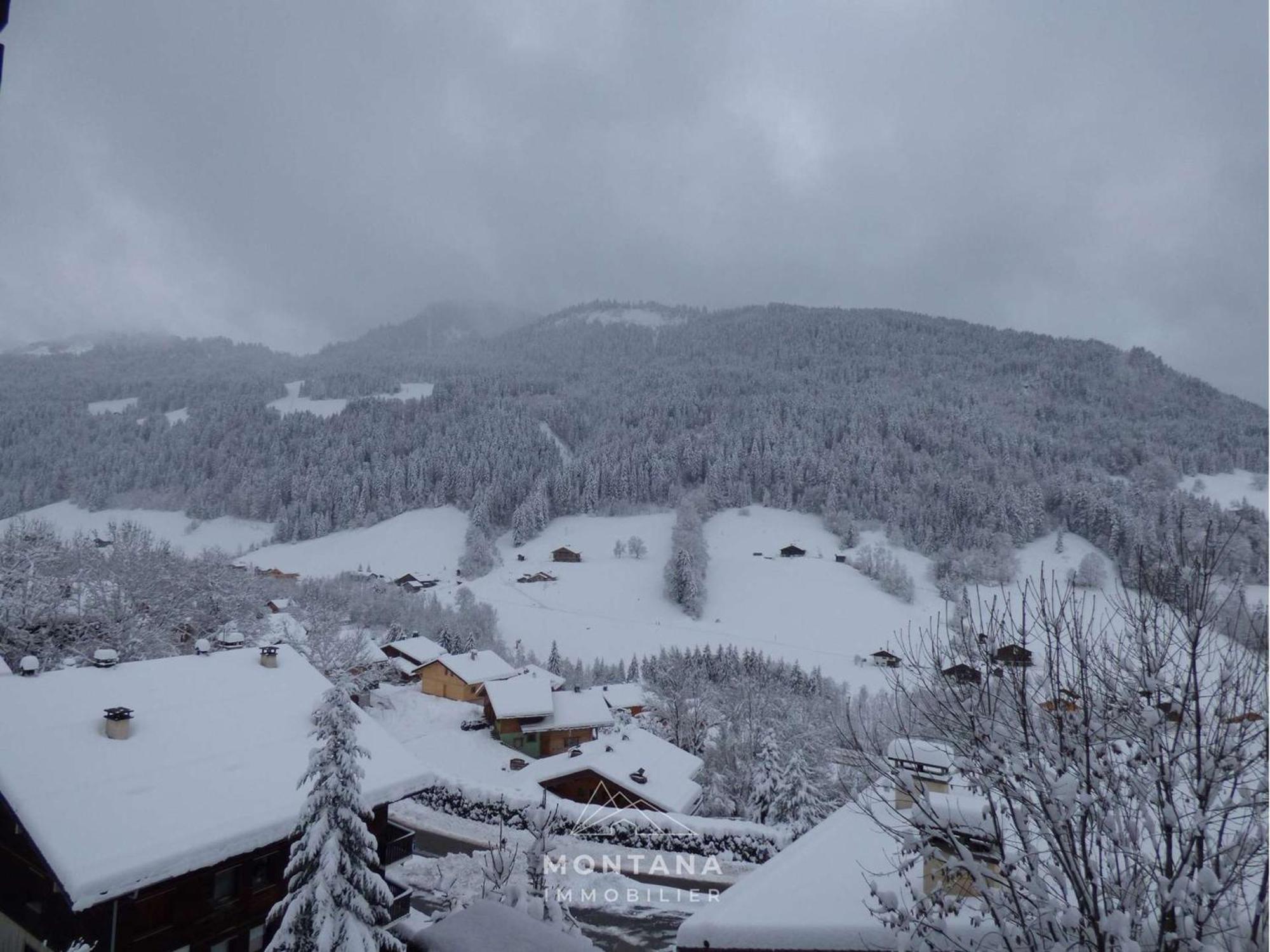 Studio Renove Avec Cabine - 26M² - 5 Pers - Balcon Expose Sud - Pres Skibus Et Remontees Mecaniques - Fr-1-458-125 Le Grand-Bornand Eksteriør bilde